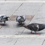 結局、就活はやりたいことがあれば勝ちな気がする